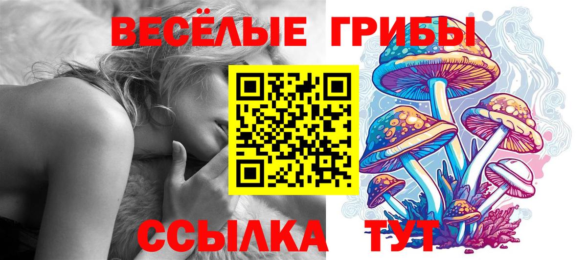 Галлюциногенные грибы мухоморы  Псилоцибиновые грибы GOLDEN TEACHER  Вход с VPN  Елизово 